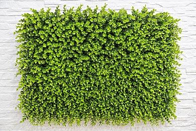 Epic喜加一：《无主之地3》免费领取